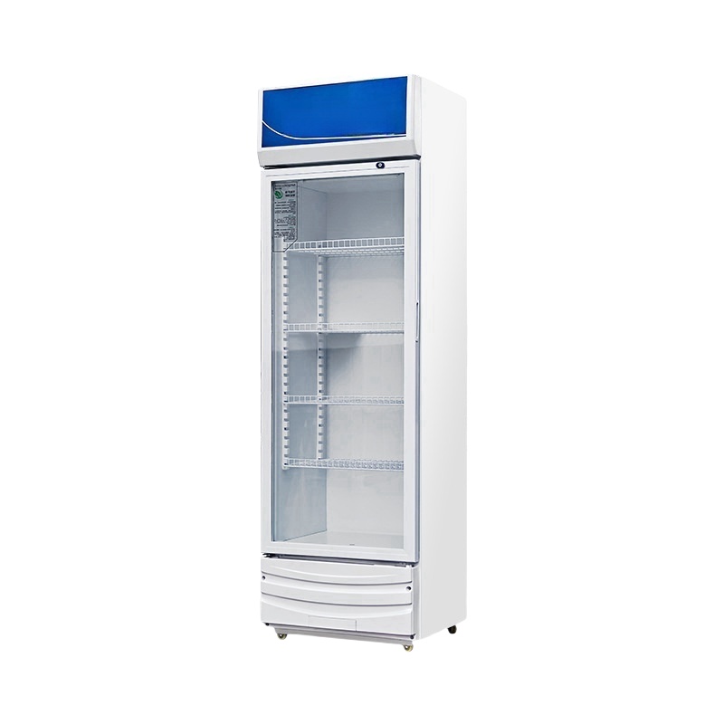 Kommerzieller Elektrischer Dop – Wine In Beer Store Bewertung und Preis