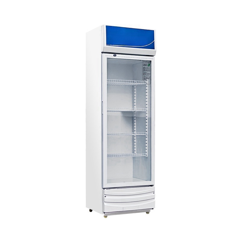 Kommerzieller Elektrischer Dop – Wine In Beer Store Bewertung und Preis