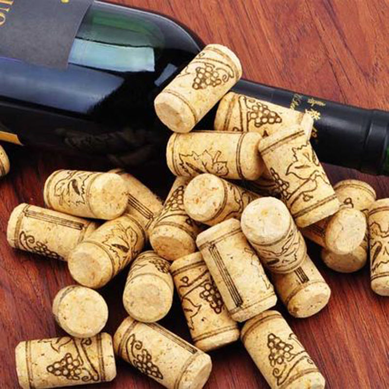 100/50pcs wieder verwendbare l – Bottle Stopper Set Bewertung und Preis
